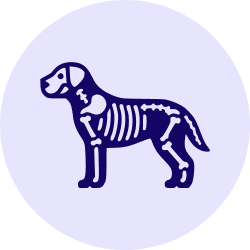 Agendar ortopedia