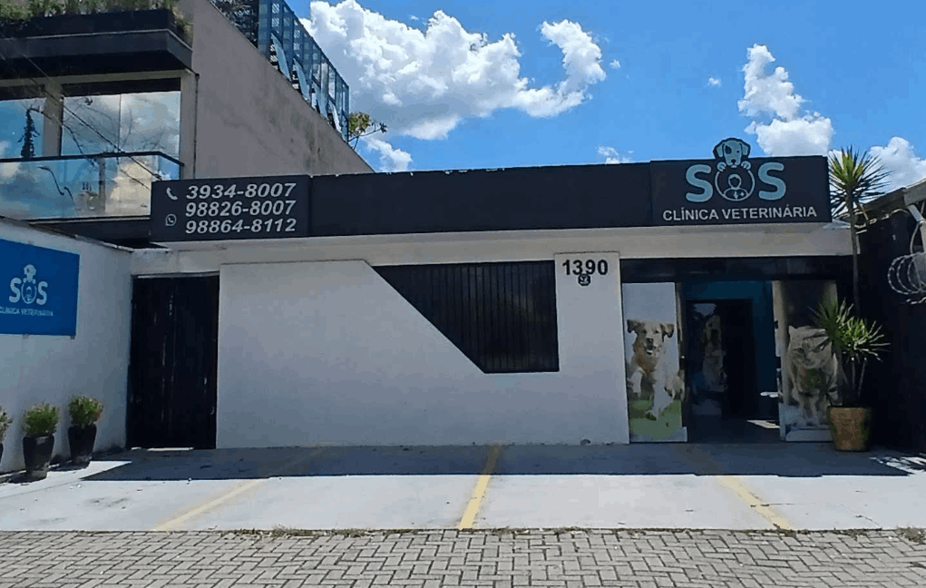 clinica veterinaria 24h