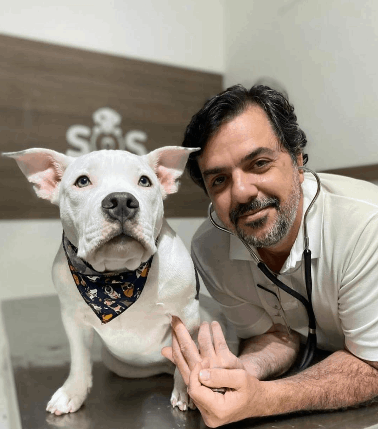 clinica veterinaria 24h - ajudando seu pet